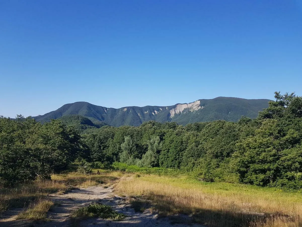 Alla Battuta Sansepolcro Italy